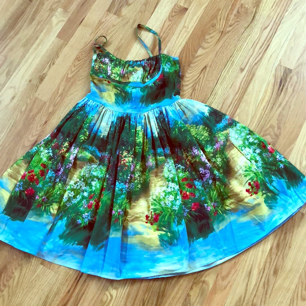 Bernie Dexter Serenity Path Paris dress 30” waist